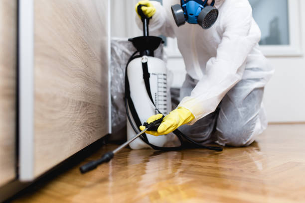 Best Ant Control Services  in Calera, OK