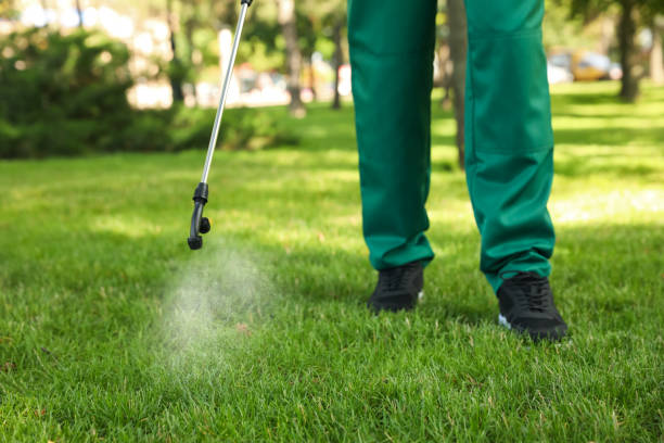 Best Local Pest Control Services  in Calera, OK