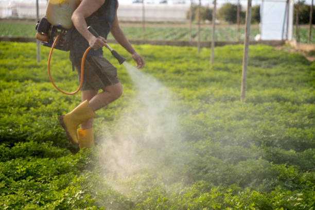 Best Pest Control Near Me  in Calera, OK