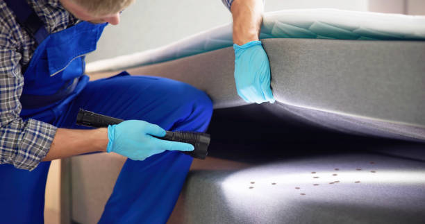 Best Local Pest Control Services  in Calera, OK
