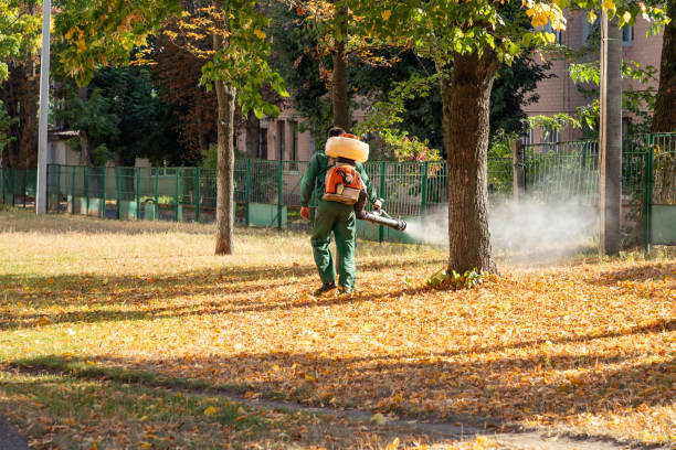  Calera, OK Pest Control Pros