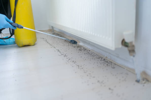 Pest Control Cost in Calera, OK