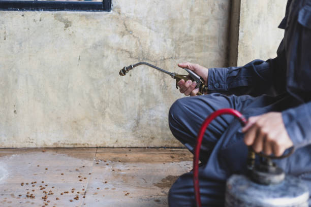 Best Wasp Removal Services  in Calera, OK